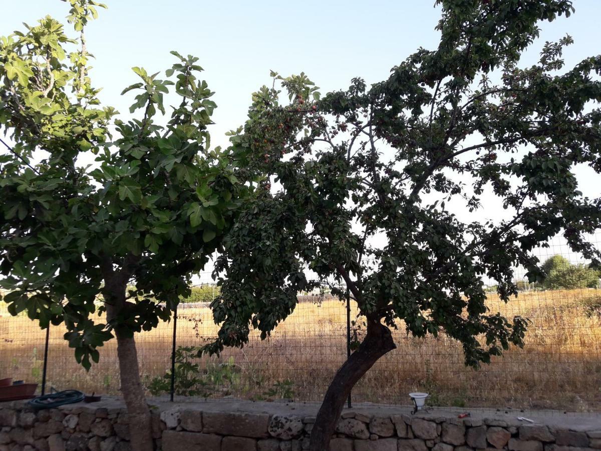 Casa Vacanza Campoli Villa Ruffano Esterno foto